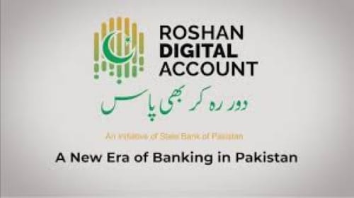 Roshan Digital Account Inflows Surge 9% in December 2024 – Here's What You Need to Know!