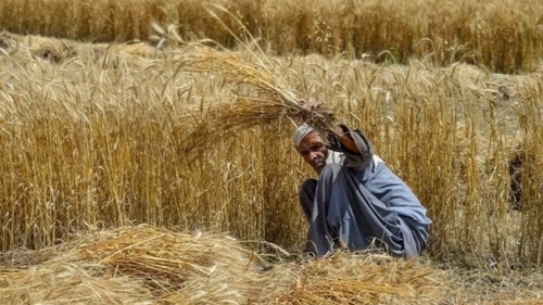 Punjab Govt Doubles Kissan Card Loan Limit to Rs300,000 to Empower Farmers