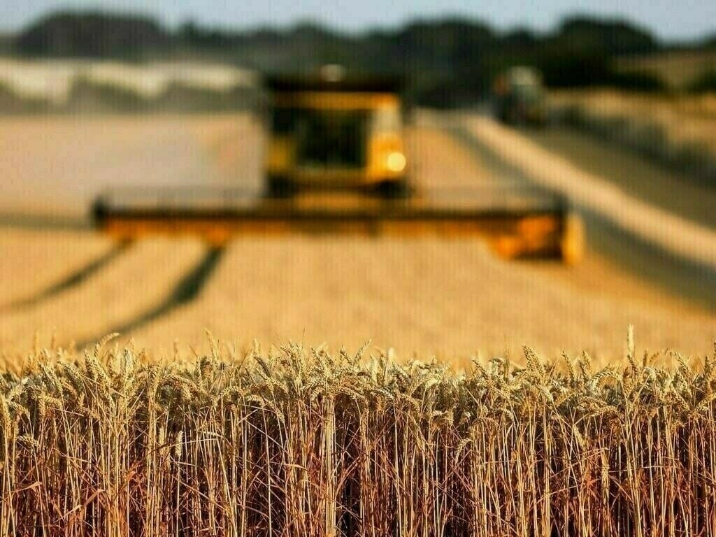 Pakistan’s Agri-Tech Revolution: Transforming Challenges into Global Opportunities