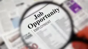 Sindh Government Launches Job Portal to Boost Employment Opportunities