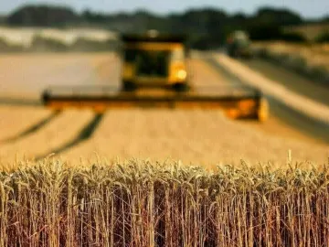 Pakistan’s Agri-Tech Revolution: Transforming Challenges into Global Opportunities