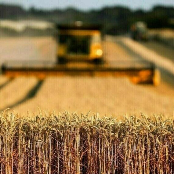 Pakistan’s Agri-Tech Revolution: Transforming Challenges into Global Opportunities